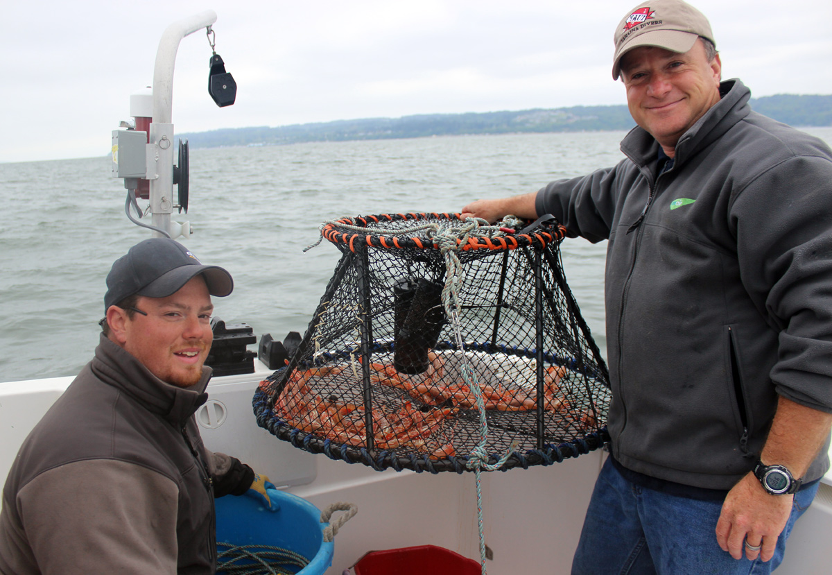 Everett Spot Shrimp Report May 10
