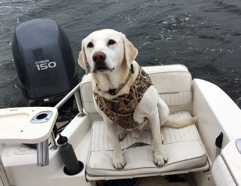 Boat mascot Miles ready to growl at everything we catch.