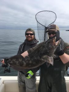 Fishing in Westport for Lingcod.