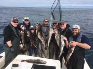 Westport Lingcod Fishing Report