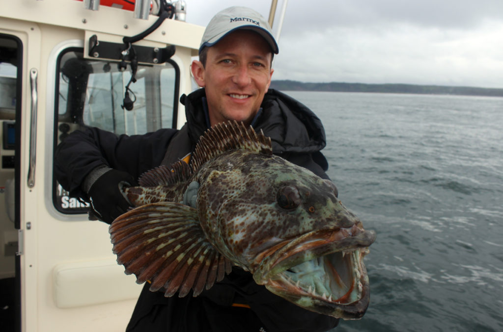 How to Catch Lingcod Riptidefish