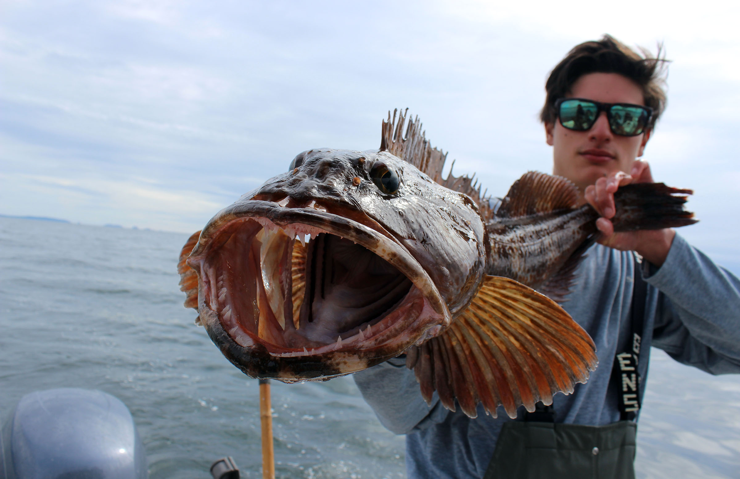 How to Catch Lingcod - Riptidefish