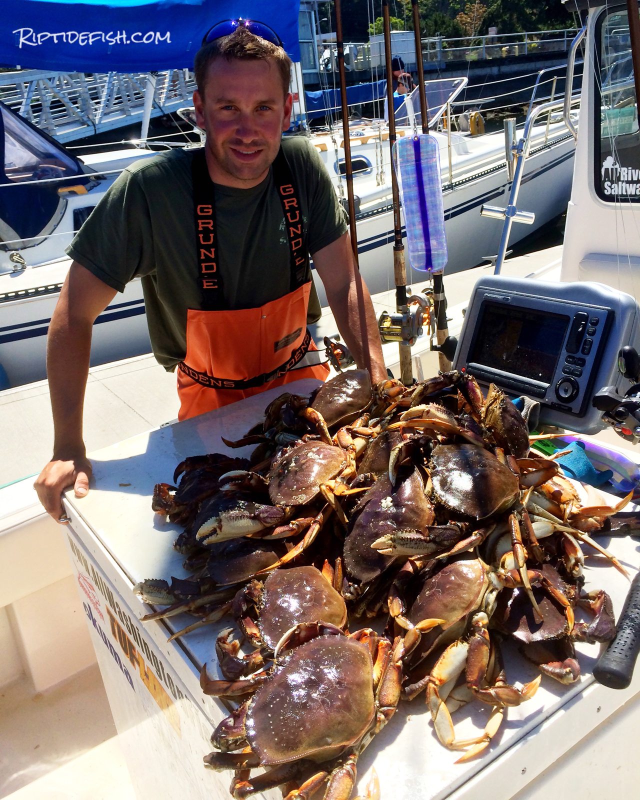 Puget Sound Dungeness Crabbing