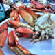 Dungeness Crab Recipes