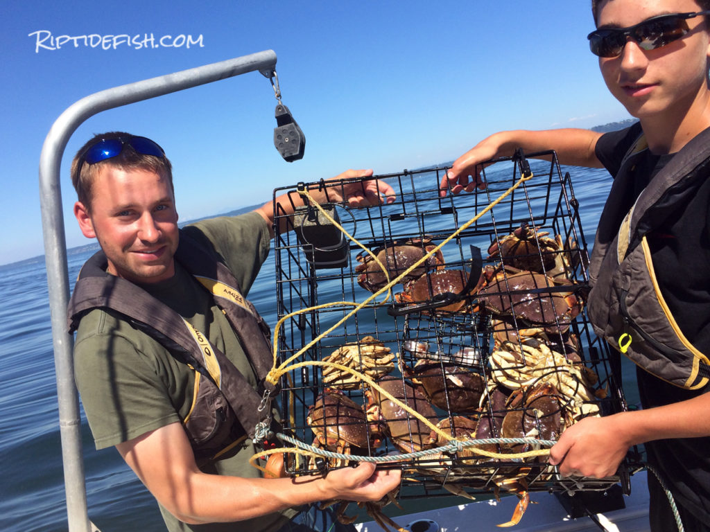 Puget Sound Dungeness Crabbing