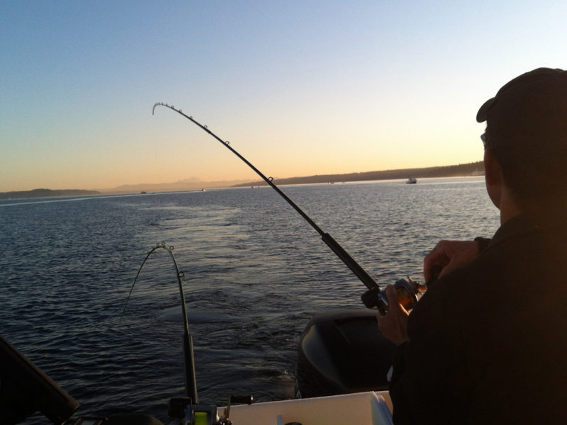 Edmonds Coho Fishing
