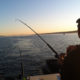 Edmonds Coho Fishing