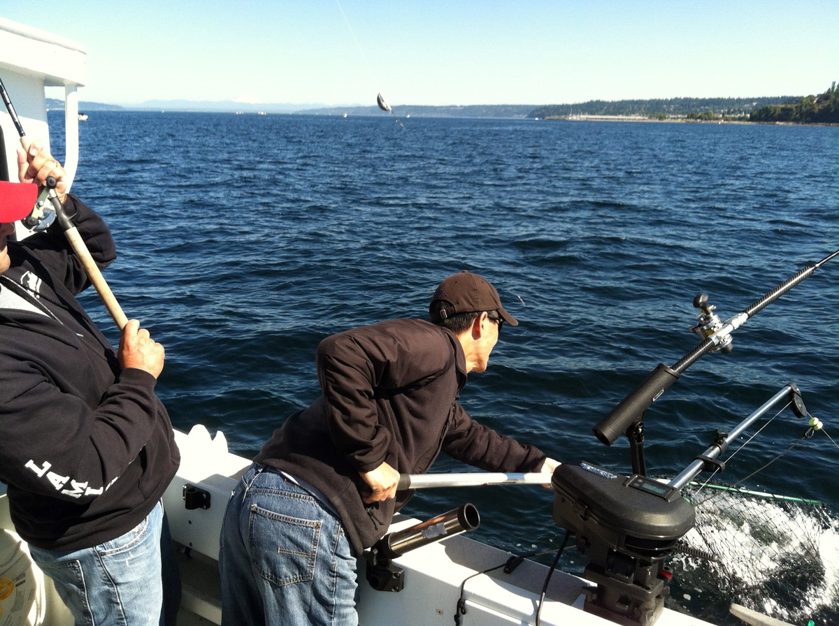 Coho Salmon Fishing Puget Sound