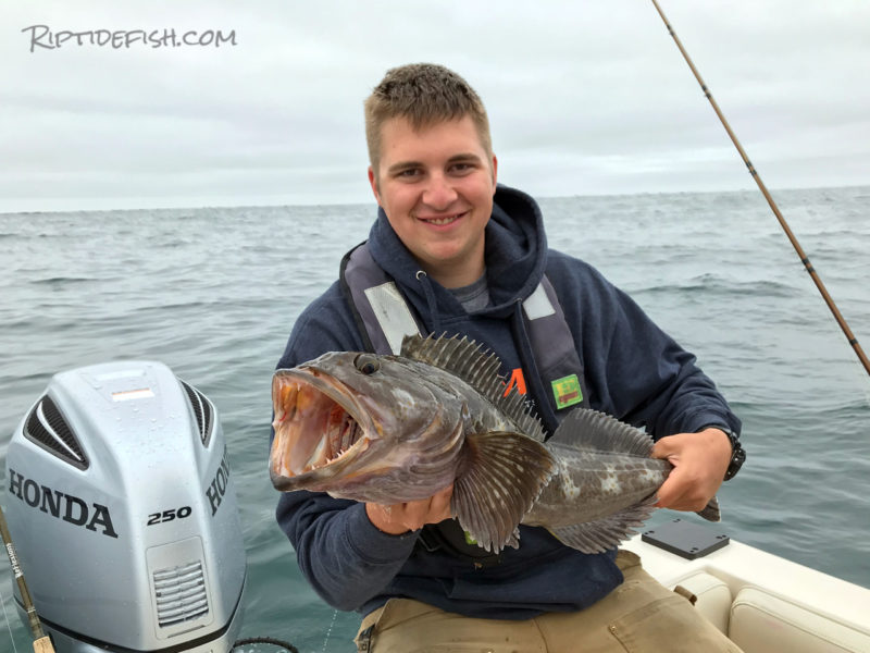 Westport Lingcod and Rockfish Adventure