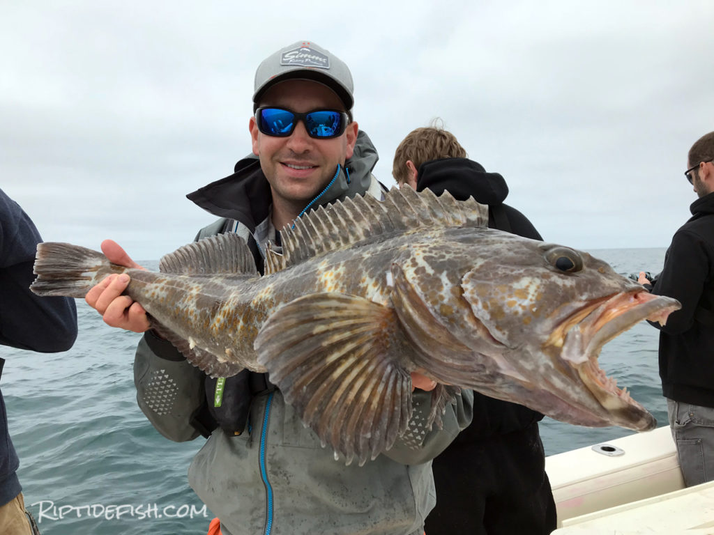 Westport Lingcod and Rockfish Adventure