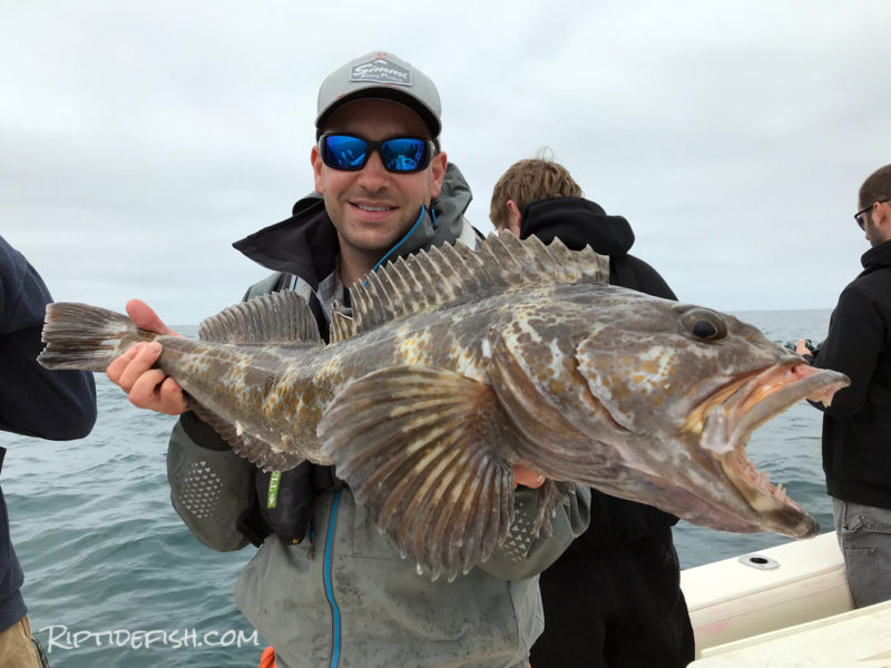 Westport Lingcod and Rockfish Adventure