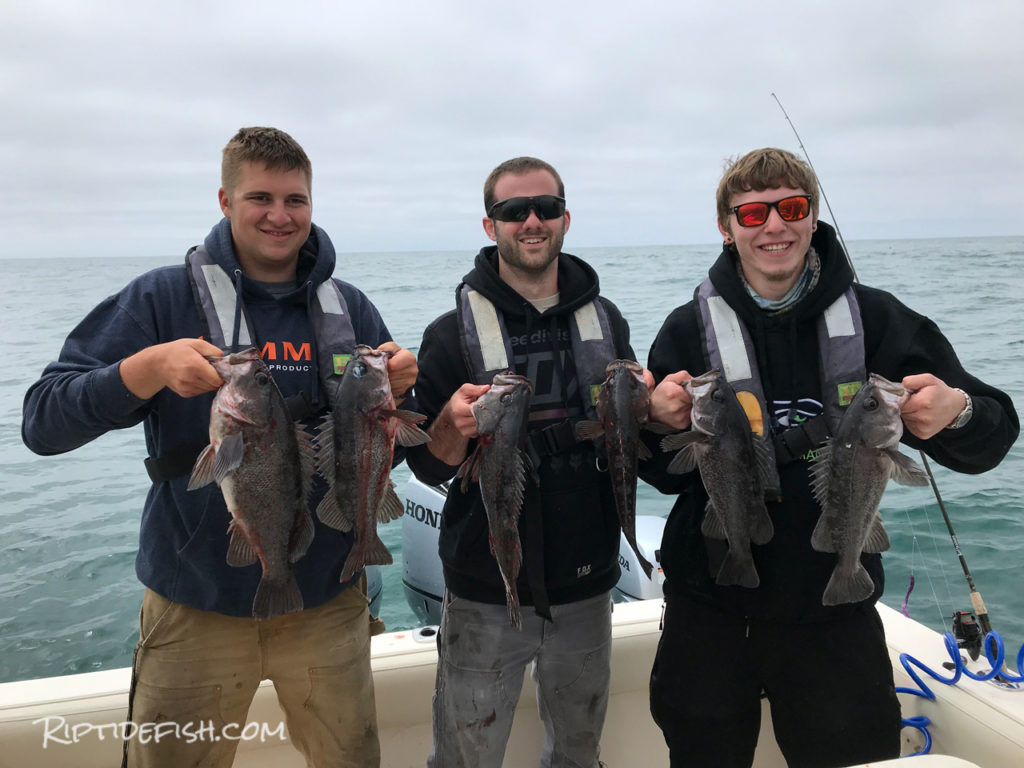 Westport Lingcod and Rockfish Adventure