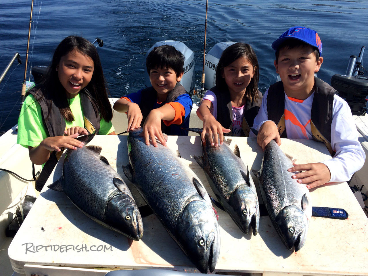 Dolphin Point Chinook Salmon Fishing