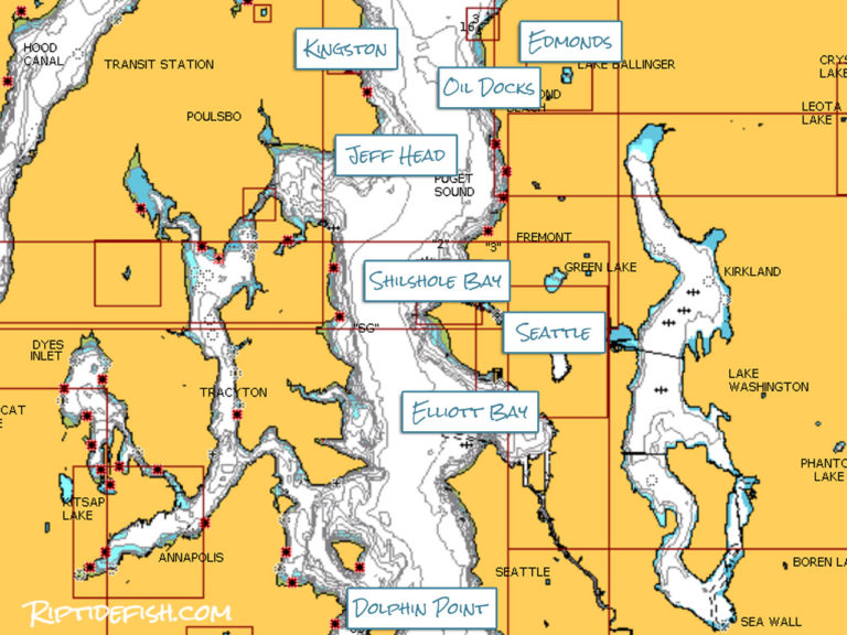 Puget Sound Chinook Salmon Fishing Hot Spots