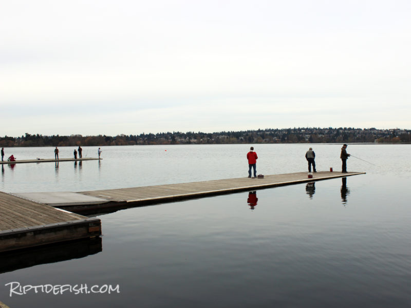 Green Lake Trout Fishing in Seattle