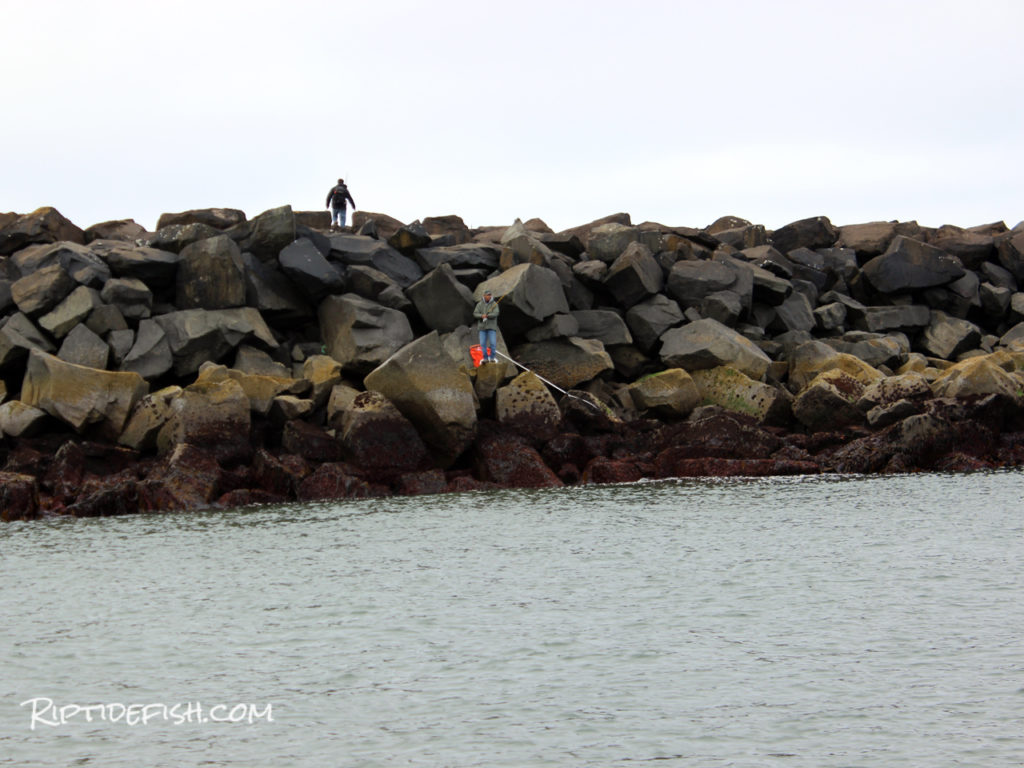 Lingcod Jetty Fishing in Washington