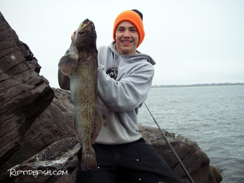 Anthony with a nice Lingcod caught off the Westport Jetty on the Washington Coast.