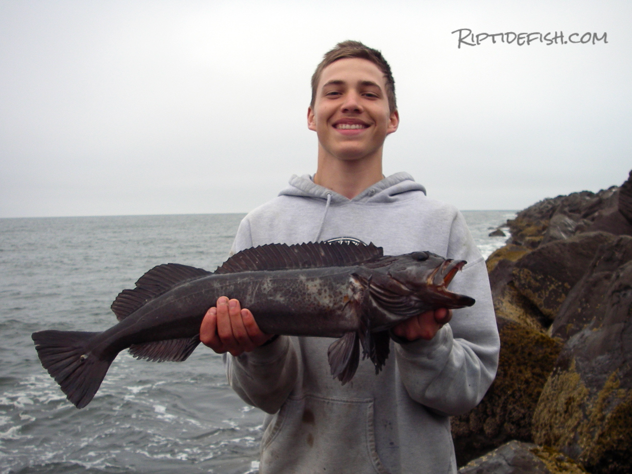 Jetties can be a great place to fish for Lingcod if you don't have a boat. 