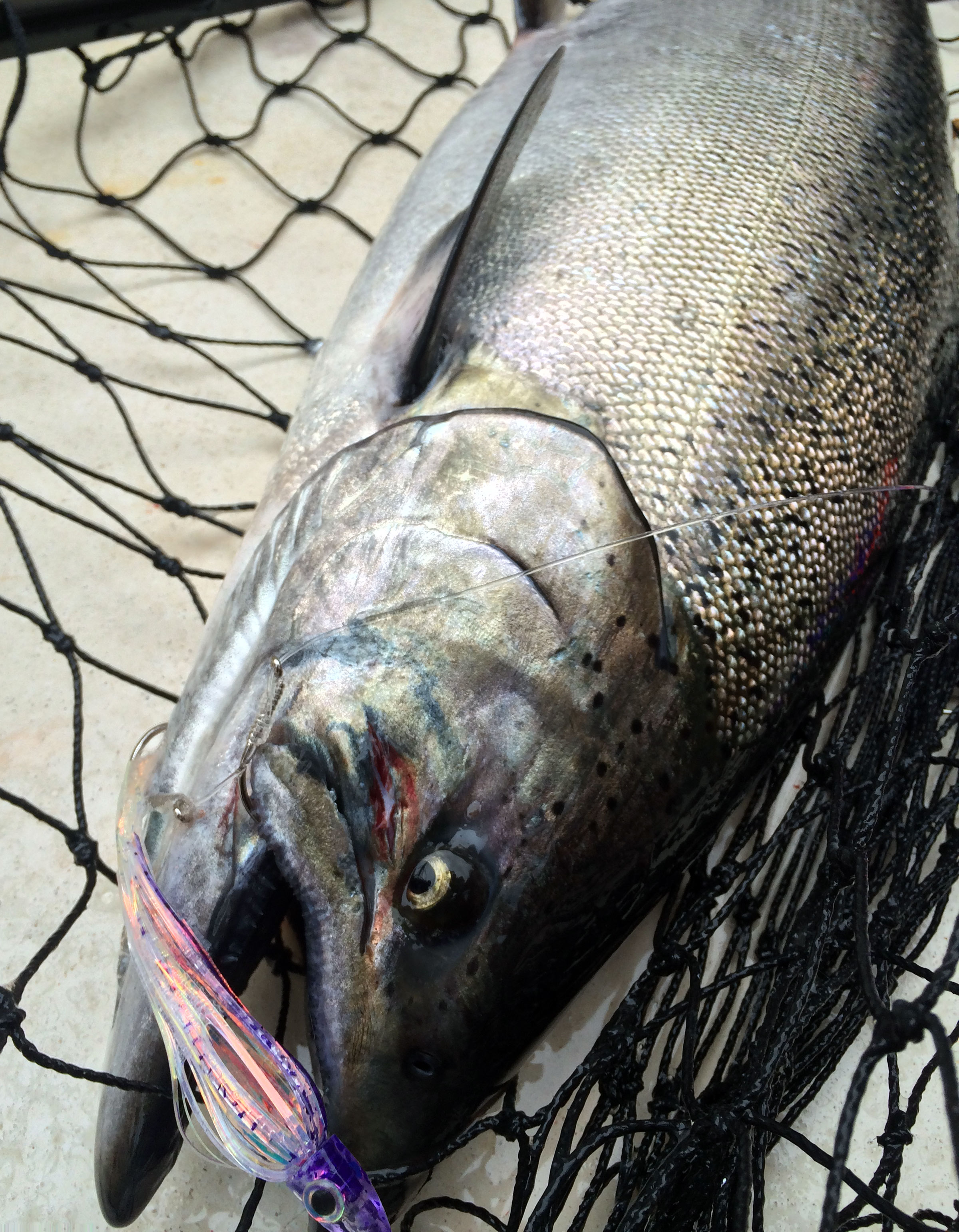 Puget Sound King Salmon Fishing Lures