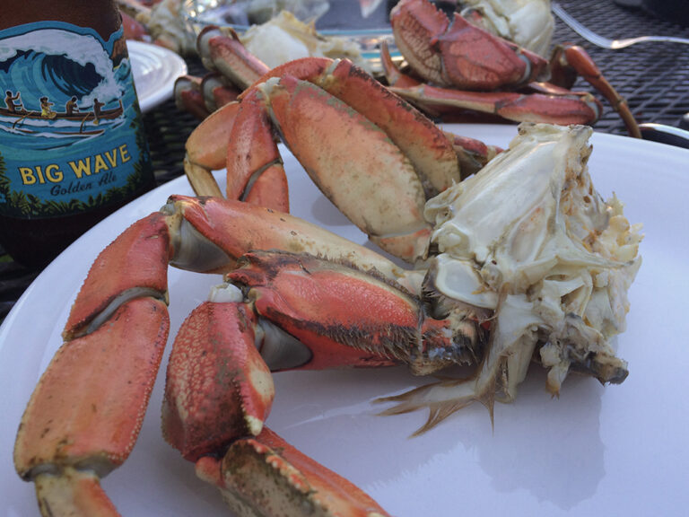 How to Cook Live Dungeness Crab Like A Professional Chef