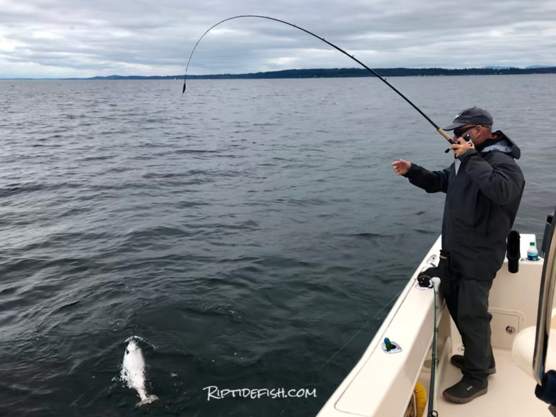 Seattle Salmon Fishing Mooching