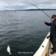 Seattle Salmon Fishing Mooching