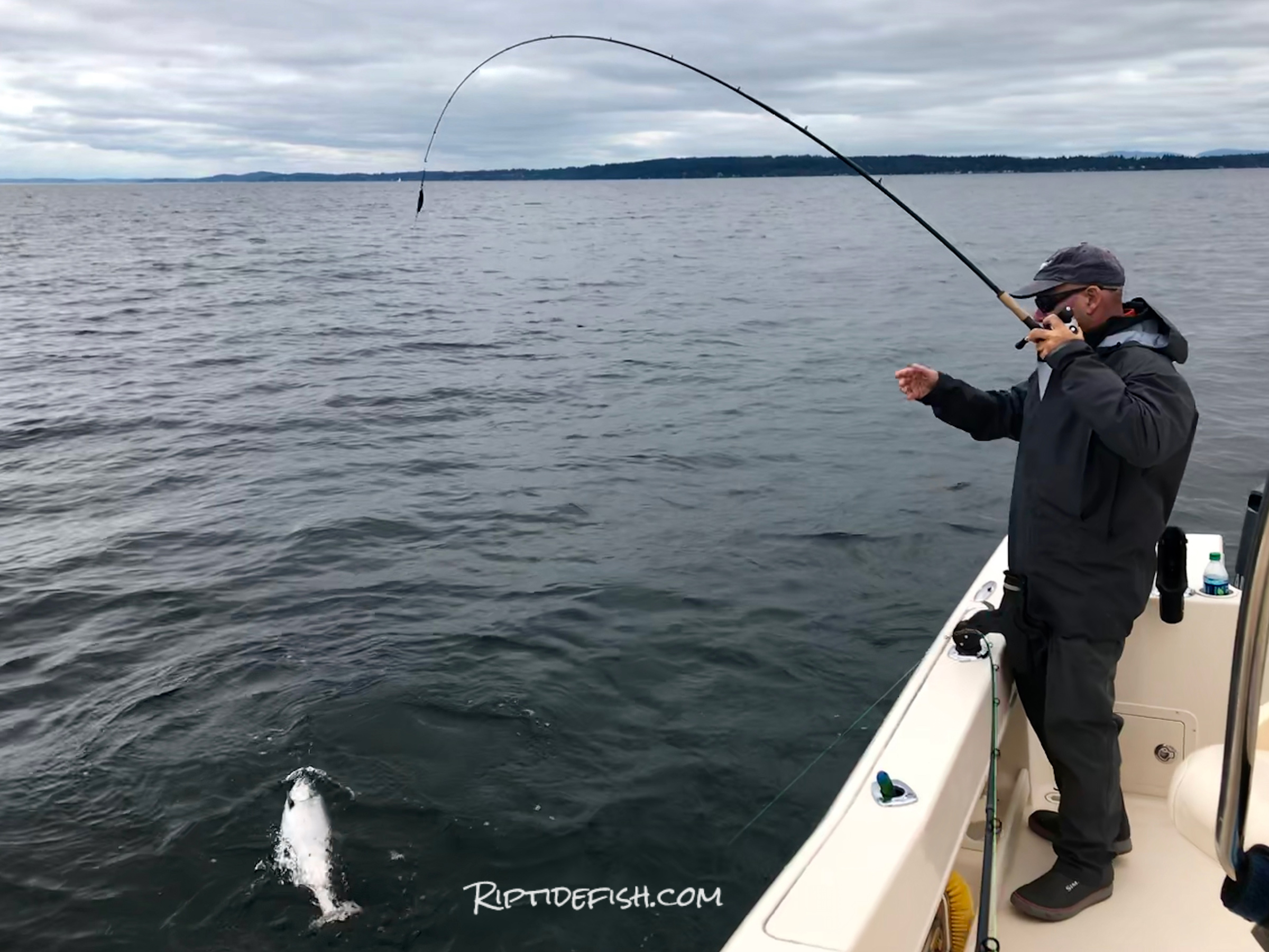 Quick Salmon Mooching Trip Seattle