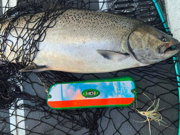 12 Great Lures for Chinook Salmon Fishing in Puget Sound Riptidefish