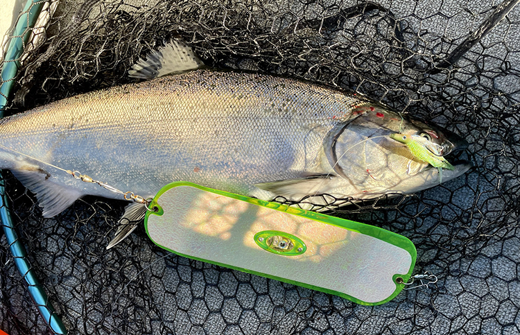 Puget Sound Chinook Trolling Lure