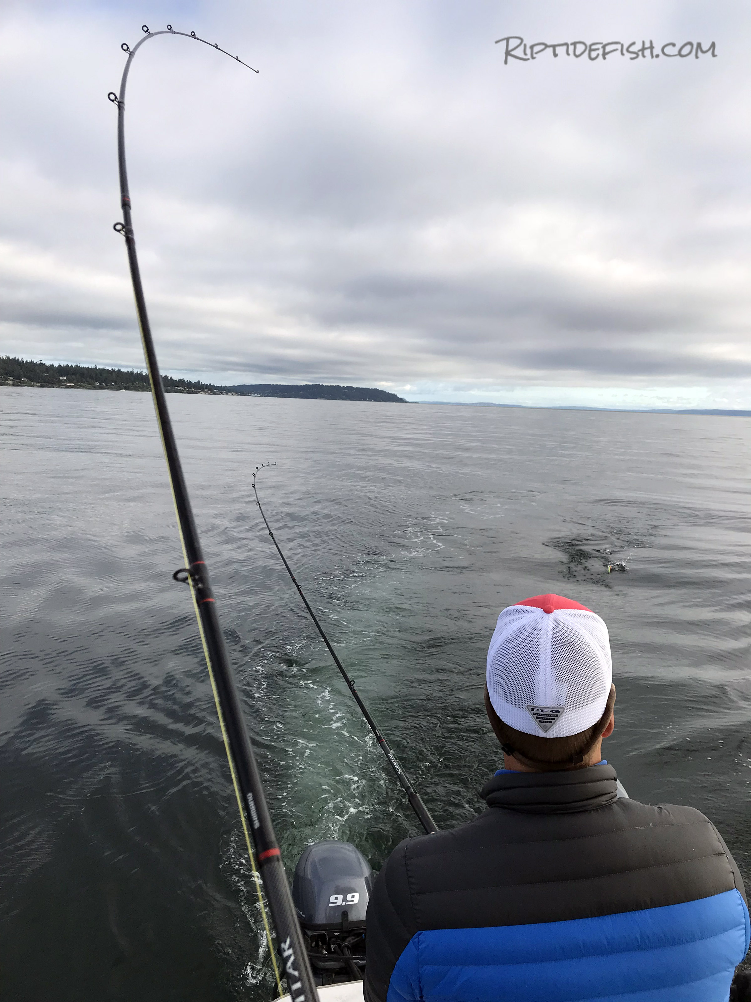 Seattle Coho Salmon Fishing