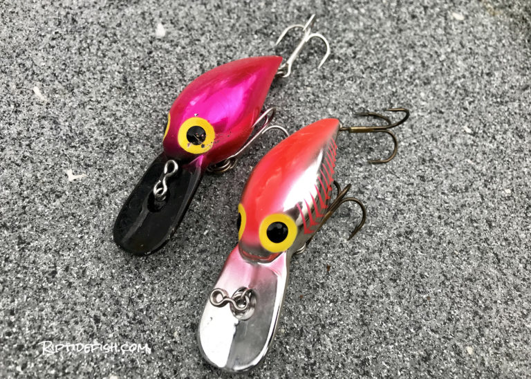 10 Amazing Lures for Coho Salmon in Rivers Riptidefish