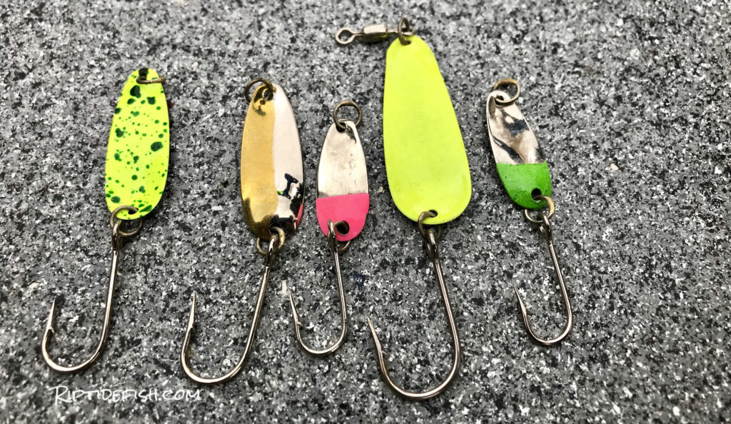 10 Amazing Lures for Coho Salmon in Rivers