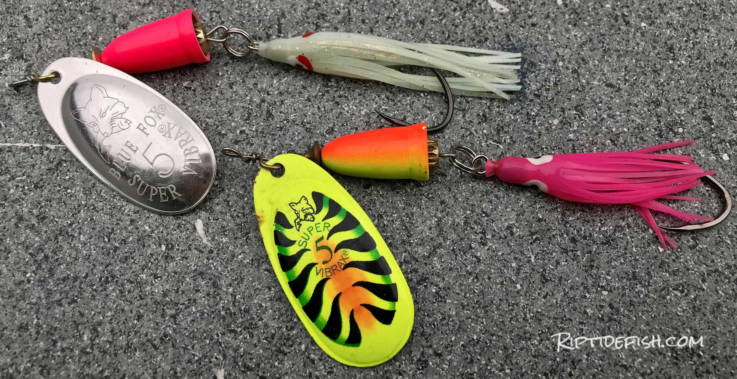 Best Spinners for Coho Salmon Fishing in rivers