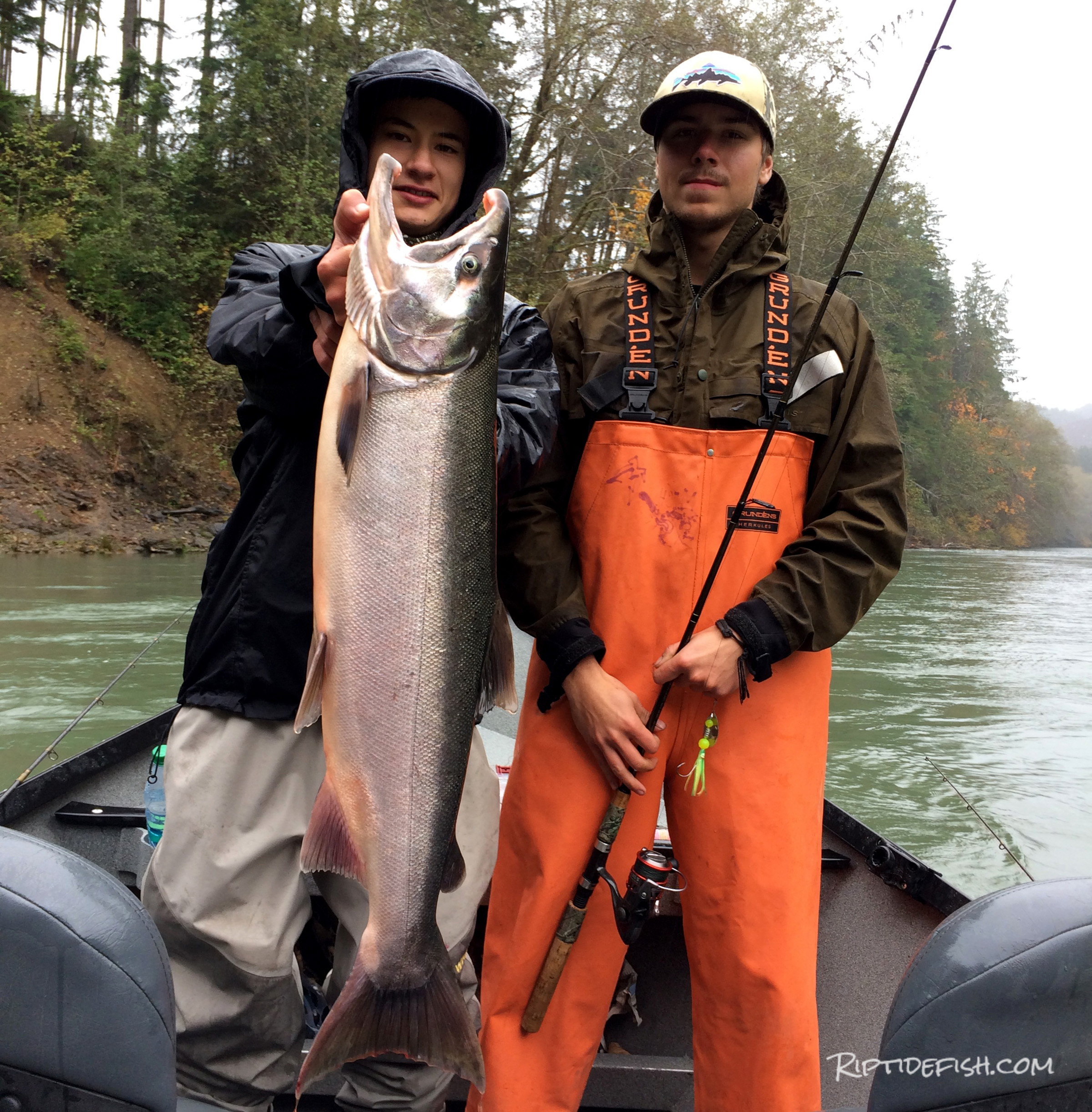 Best lures coho salmon fishing rivers