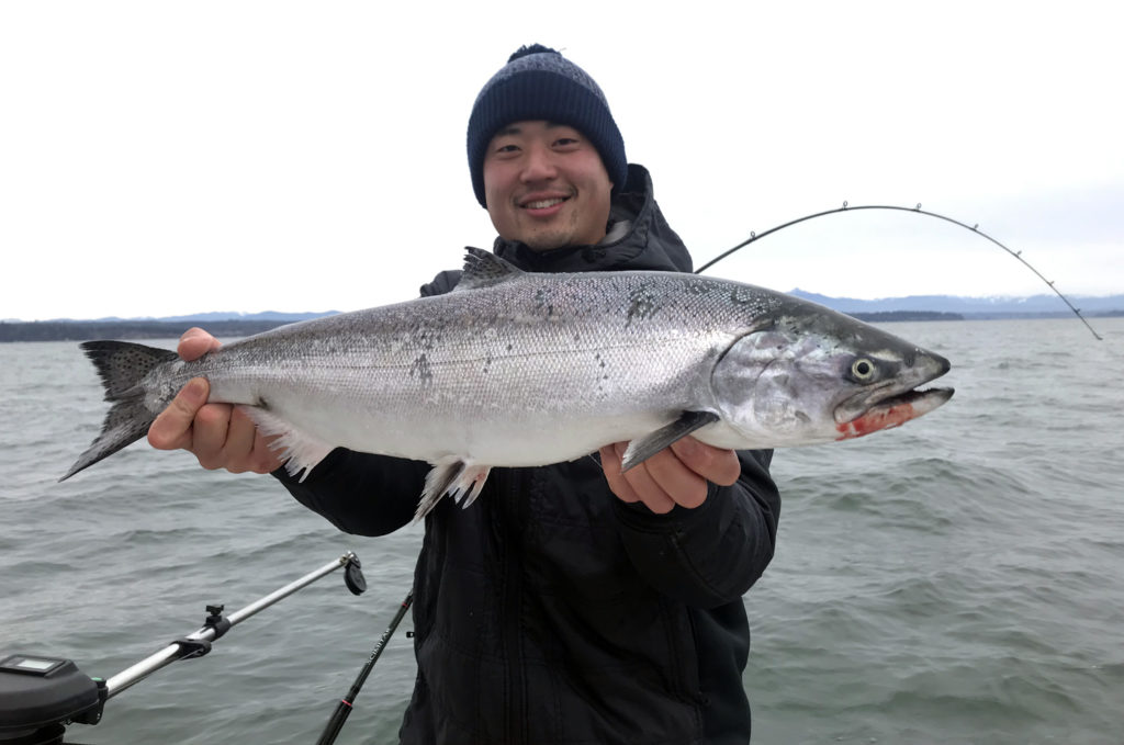 Blackmouth Salmon Fishing Puget Sound
