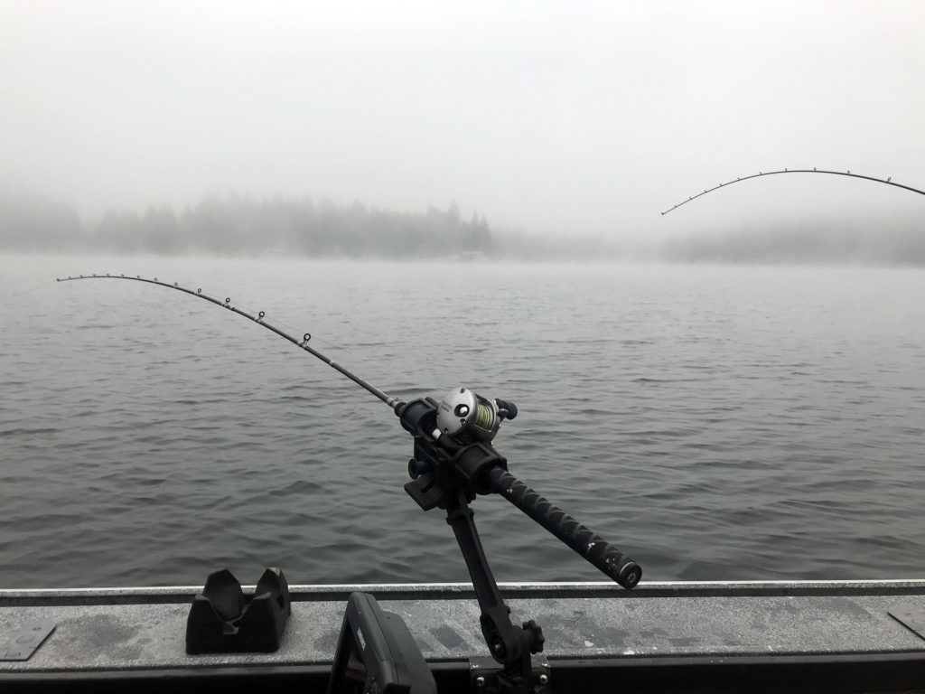 /wp-content/uploads/2019/07/Fishing