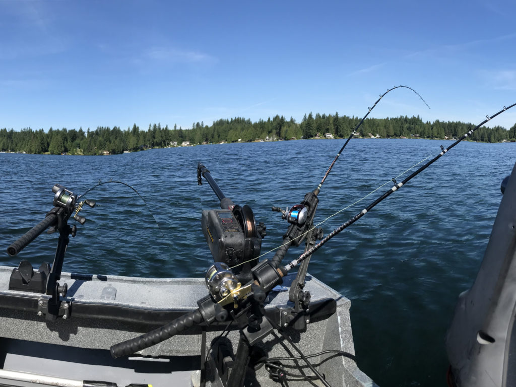 Lake Stevens Kokanee Fishing
