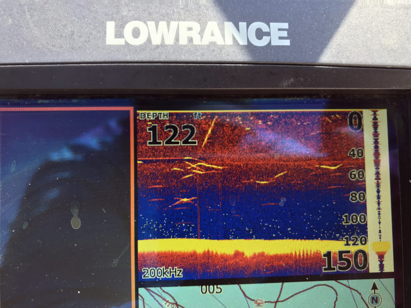 Lake Stevens Kokanee Fishing