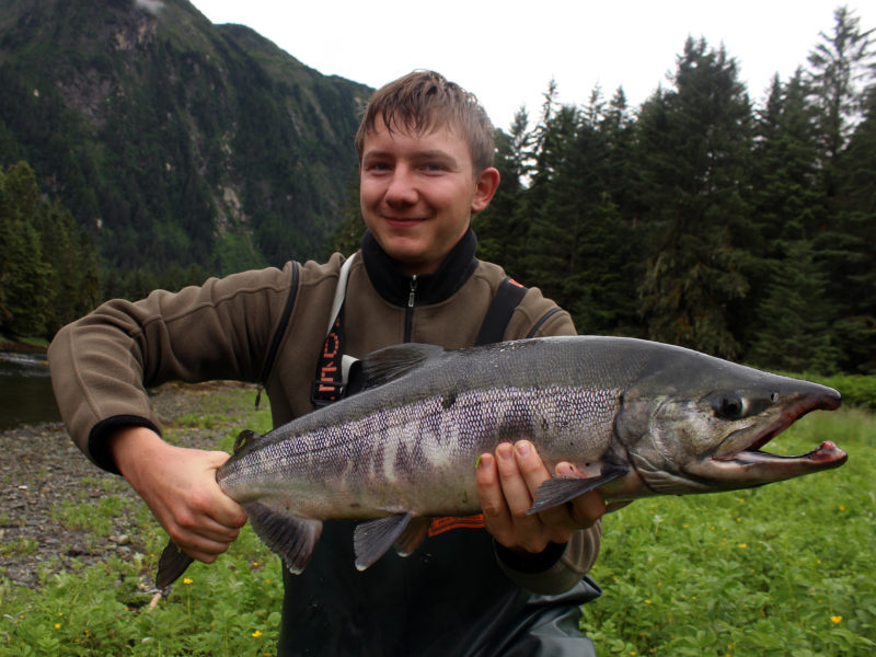 Best Chum Salmon Fishing Lures Rivers