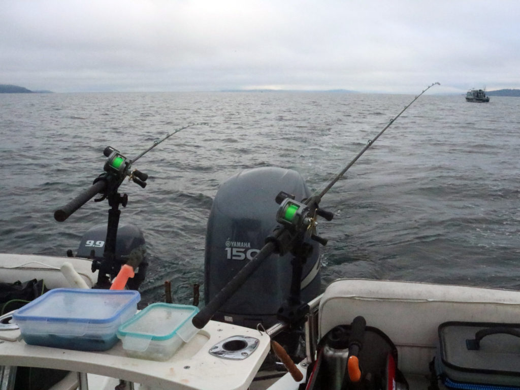 Lights Out Coho Salmon Fishing at Jeff Head