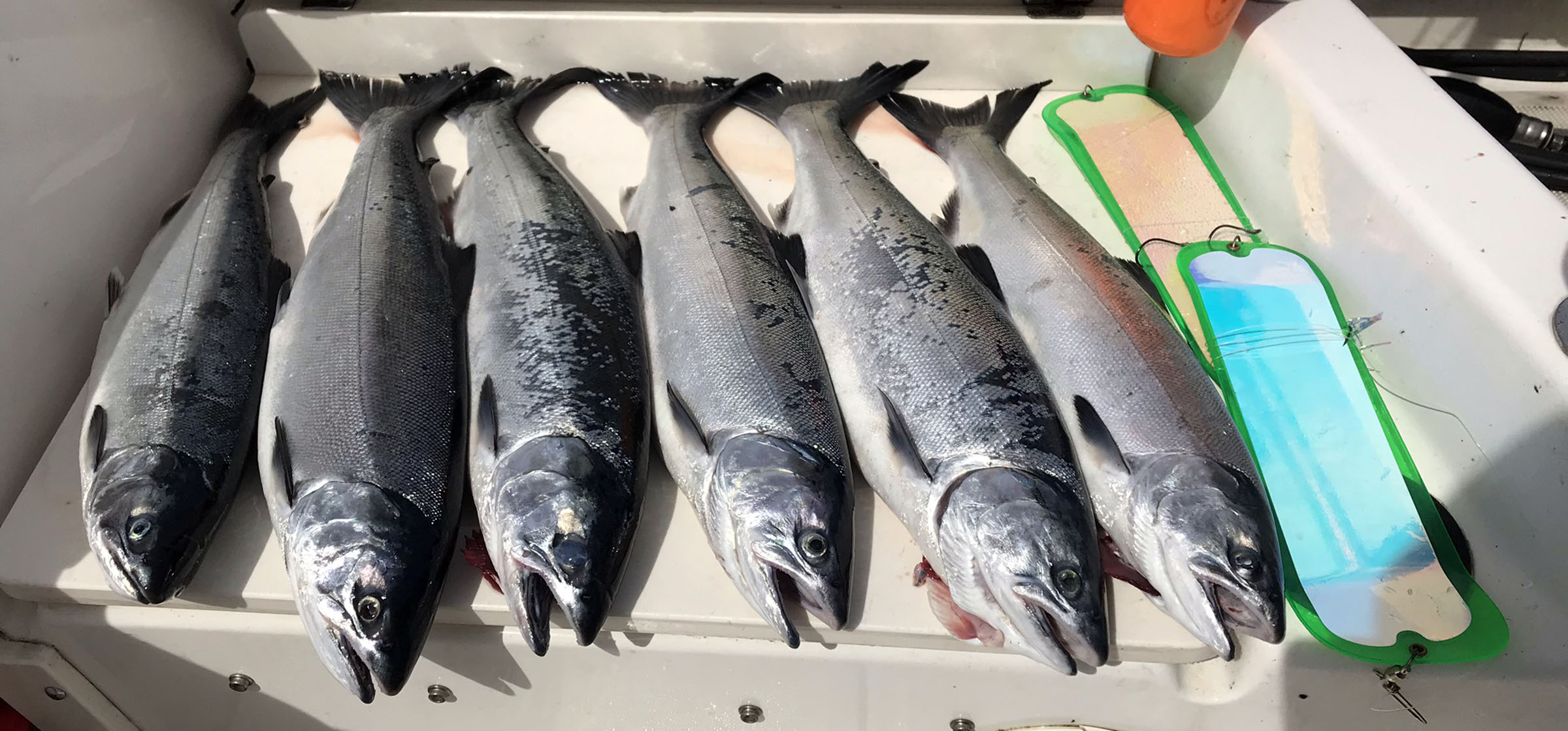 Puget Sound Marine Area 10 Salmon Fishing – June 19, 2020