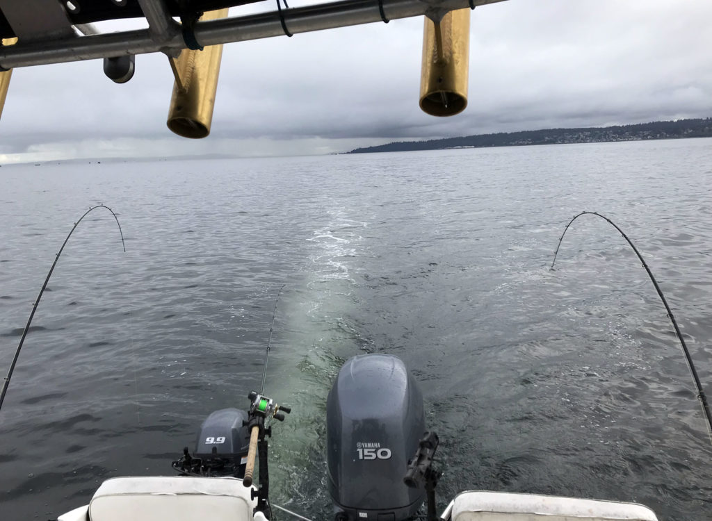Trolling for Resident Coho Salmon on Puget Sound