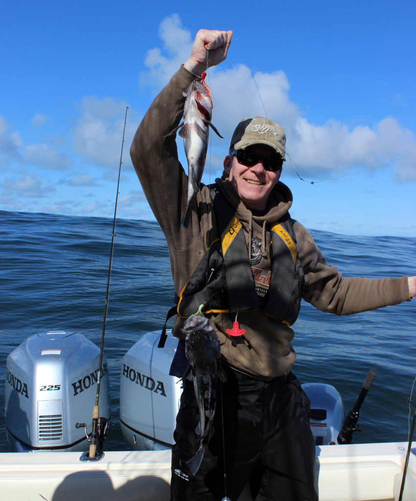 Rockfish caught on Shrimp Flies