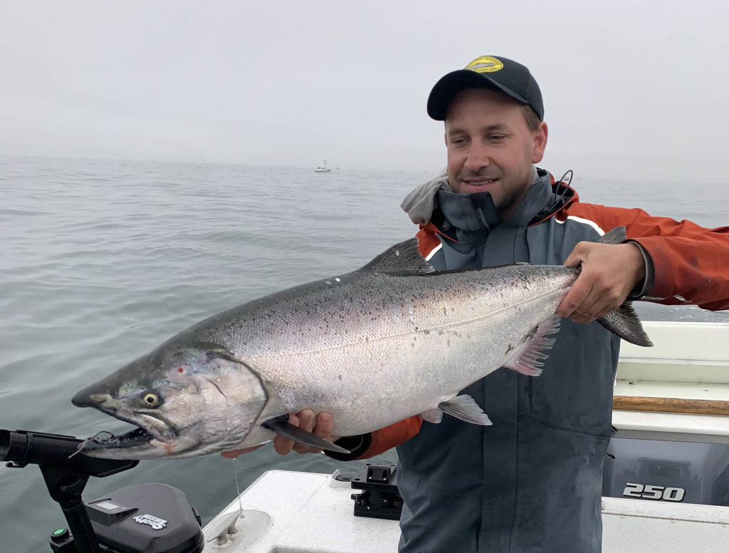 Port Townsend Chinook Salmon