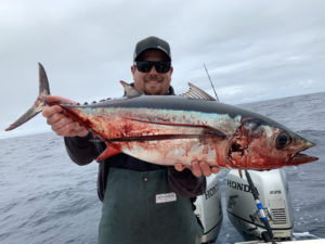 Westport Fishing Report