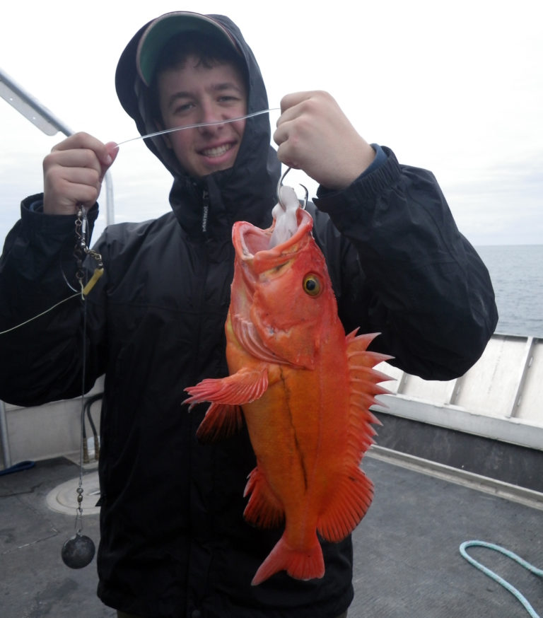 Yelloweye Rockfish The Granddaddy of the Deep