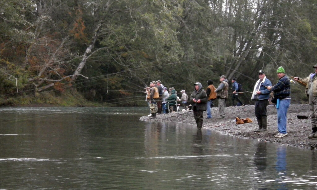 Chinook Salmon River Fishing from the Bank.