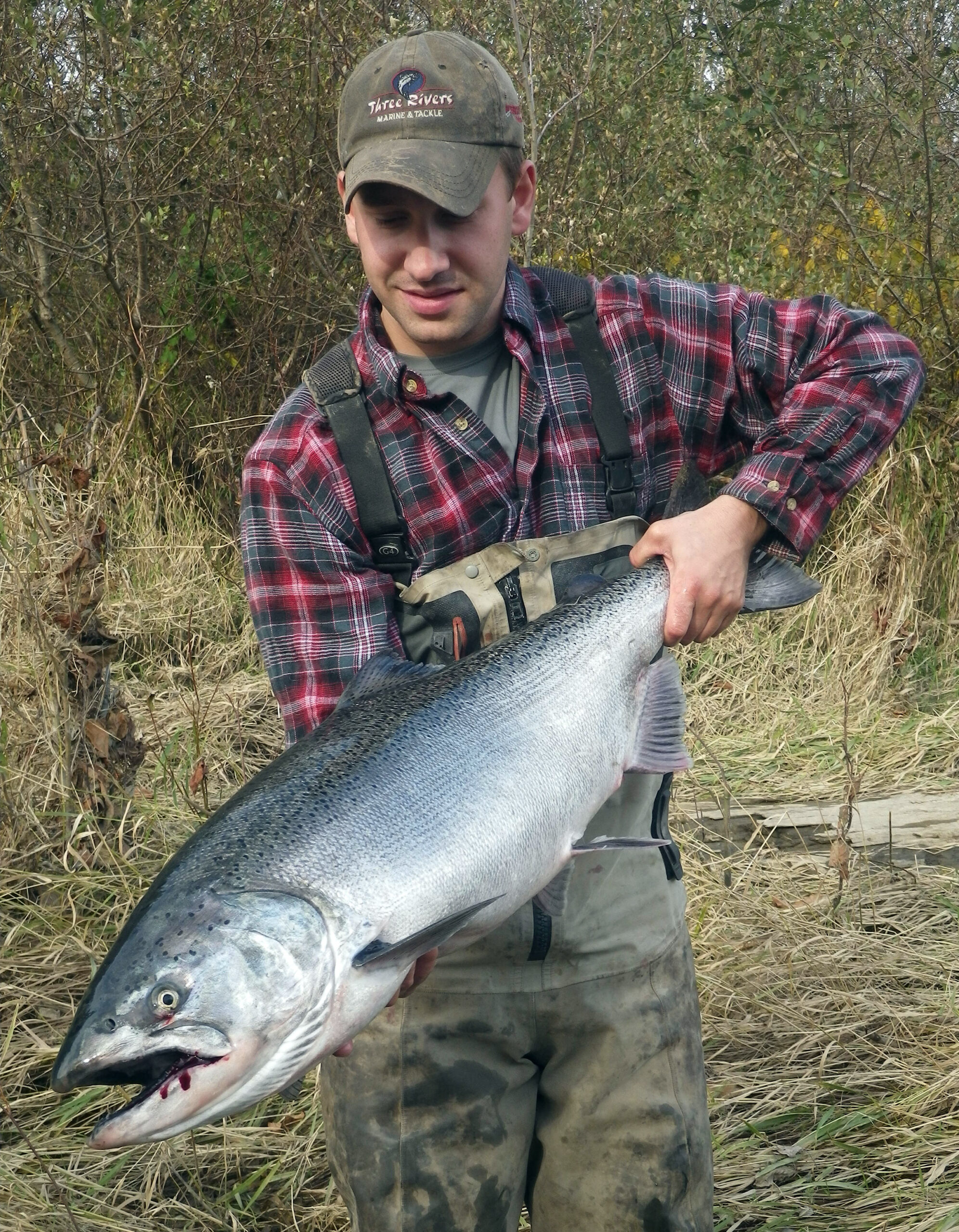 How to Catch Chinook Salmon Spinners