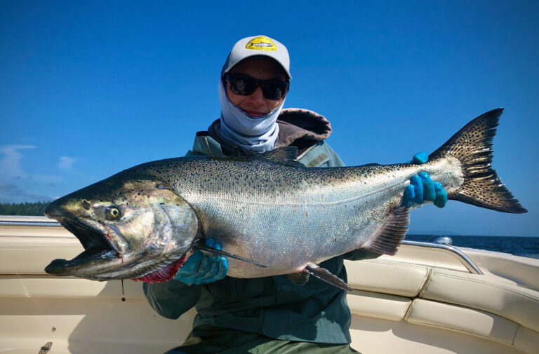 Seattle Tyee Salmon! 30 Pound Hatchery Chinook
