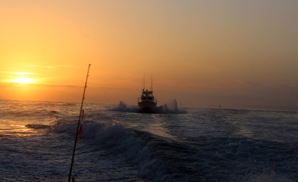 Westport Albacore Tuna Fishing